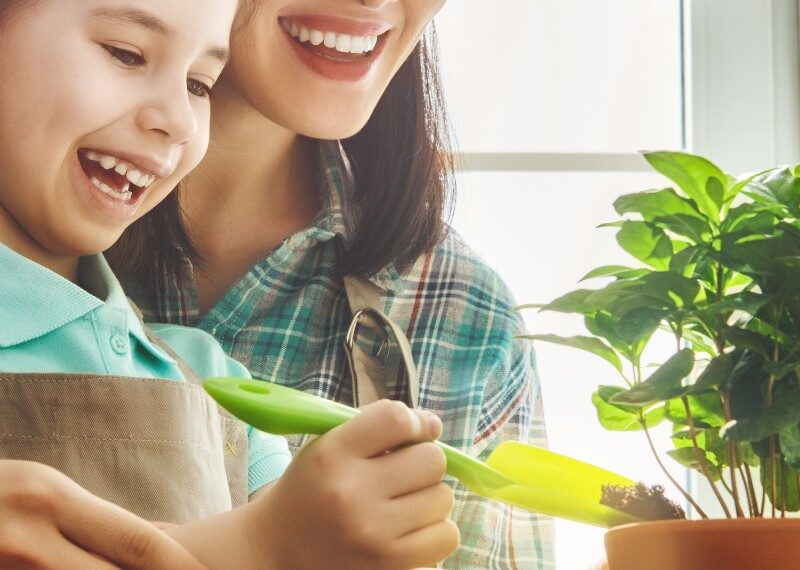 Beneficios de tener un huerto en casa