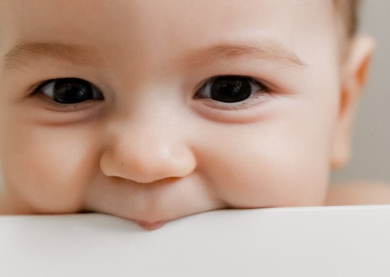 Los dientes de leche