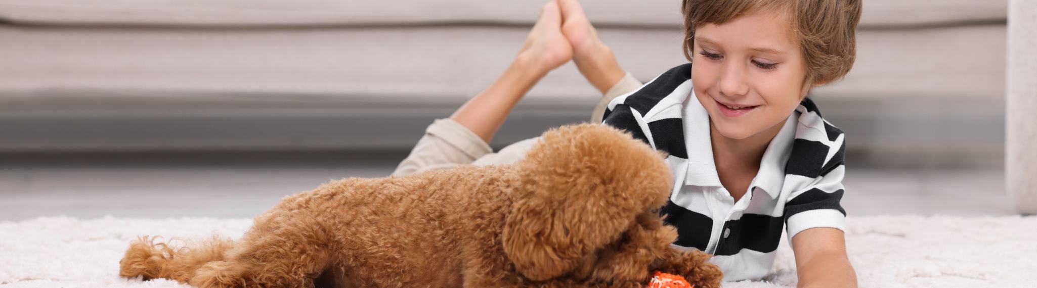 ¿Cómo ayudan las mascotas al desarrollo de niños?