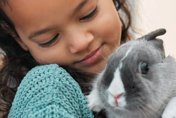 niños_y_mascotas_convivencia