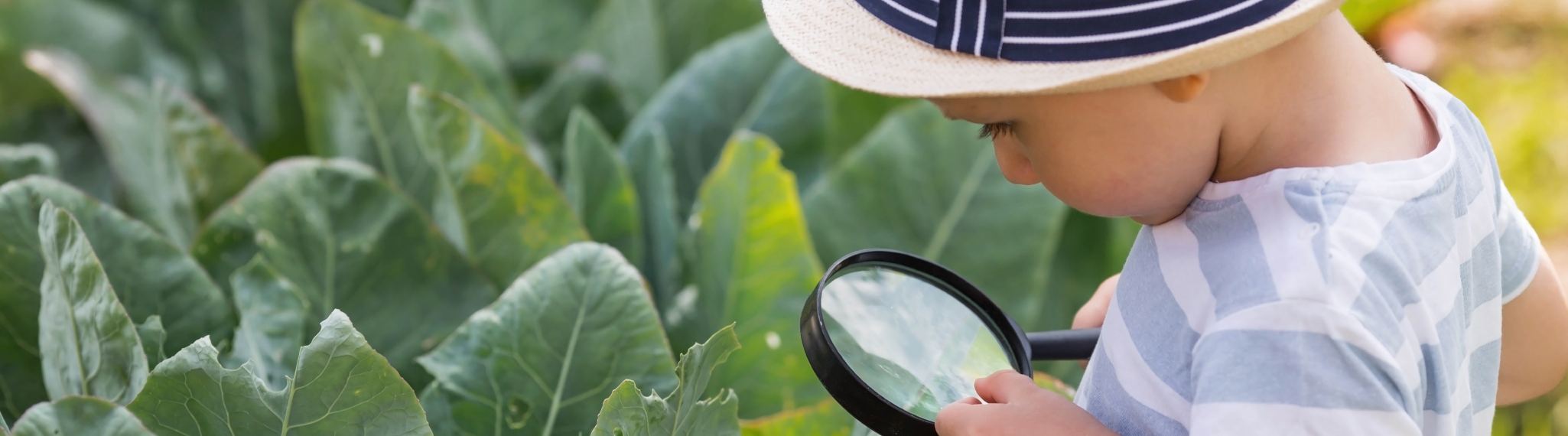 Aprender explorando: cuando la curiosidad guía la aventura